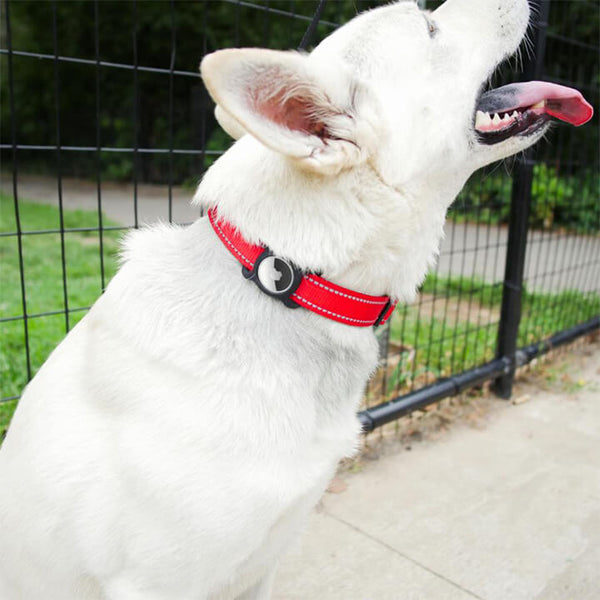 MOSTARY™ - SAFE COLLAR FOR PETS - MOSTARYSTORE™