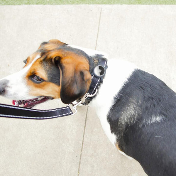 MOSTARY™ - SAFE COLLAR FOR PETS - MOSTARYSTORE™